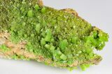 Apple-Green Pyromorphite Crystal Cluster - China #179830-2